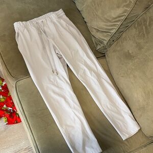 Babaton Aritzia pants